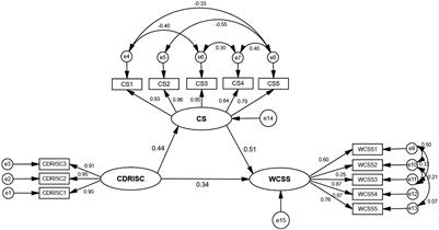 Psychological Resilience and Career Success of Female Nurses in Central China: The Mediating Role of Craftsmanship